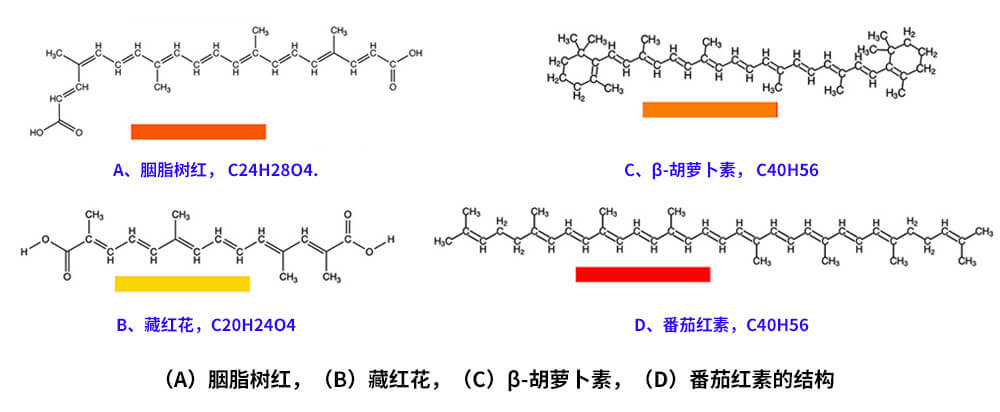 藏紅花、胭脂樹紅、β-胡蘿卜素、番茄紅素的化學結構