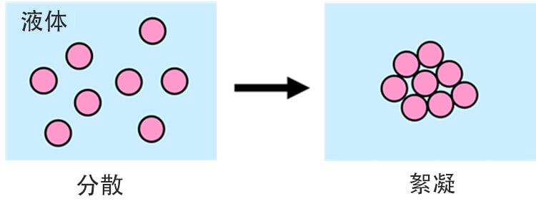 絮凝:固體顆粒在液體膠合中結(jié)合在一起